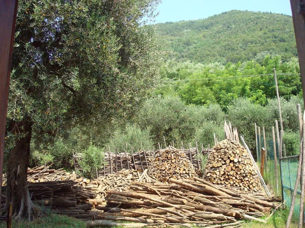 Il Castagneto Villa Teolo Buitenkant foto