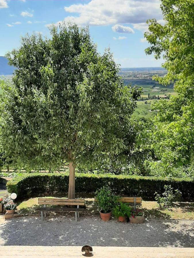 Il Castagneto Villa Teolo Buitenkant foto